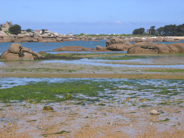 Bretagne-56
