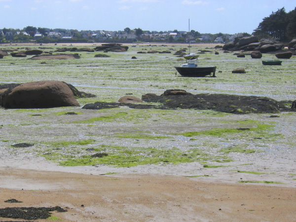 Bretagne-77