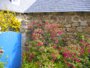 Bretagne-16