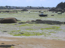 Bretagne-77